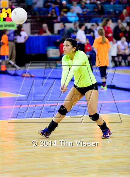 Thumbnail 2 in Platte Valley vs. Coal Ridge (CHSAA 3A Playoff) photogallery.