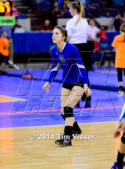 Thumbnail 1 in Platte Valley vs. Coal Ridge (CHSAA 3A Playoff) photogallery.