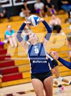 Photo from the gallery "Franklin @ Laguna Creek"