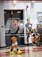 Photo from the gallery "Franklin @ Laguna Creek"