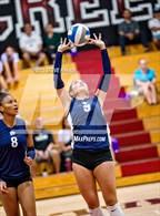 Photo from the gallery "Franklin @ Laguna Creek"