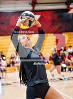 Photo from the gallery "Franklin @ Laguna Creek"