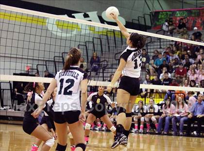 Thumbnail 1 in Kennedale @ Crandall photogallery.