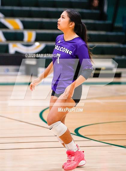 Thumbnail 3 in College Park @ Castro Valley (CIF NCS D1 First Round Playoff) photogallery.