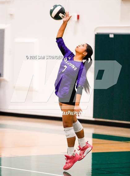 Thumbnail 2 in College Park @ Castro Valley (CIF NCS D1 First Round Playoff) photogallery.