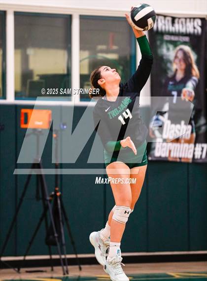 Thumbnail 3 in College Park @ Castro Valley (CIF NCS D1 First Round Playoff) photogallery.