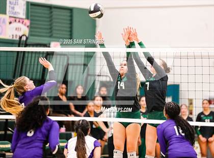Thumbnail 2 in College Park @ Castro Valley (CIF NCS D1 First Round Playoff) photogallery.