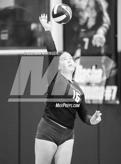 Thumbnail 3 in College Park @ Castro Valley (CIF NCS D1 First Round Playoff) photogallery.