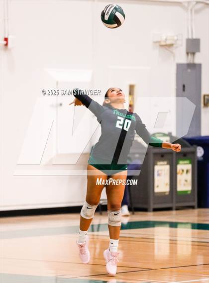 Thumbnail 3 in College Park @ Castro Valley (CIF NCS D1 First Round Playoff) photogallery.