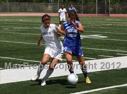 Thumbnail 2 in Forest Lake Christian vs. Bradshaw Christian (CIF SJS D6 Final) photogallery.