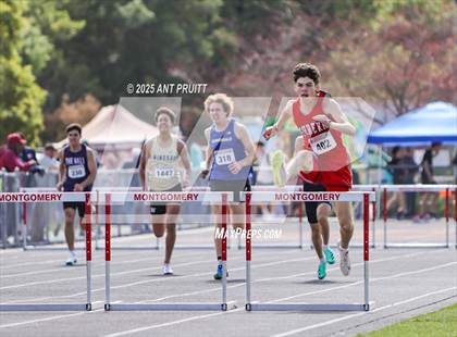 Thumbnail 1 in Bryan Bradley Viking Track Classic (300m Hurdles) photogallery.