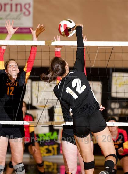 Thumbnail 1 in Oakdale @ Enochs photogallery.