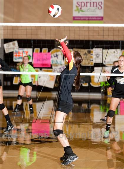 Thumbnail 1 in Oakdale @ Enochs photogallery.