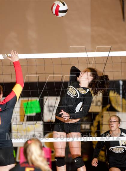 Thumbnail 1 in Oakdale @ Enochs photogallery.