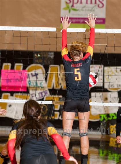 Thumbnail 3 in Oakdale @ Enochs photogallery.