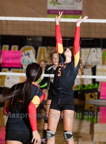 Thumbnail 3 in Oakdale @ Enochs photogallery.