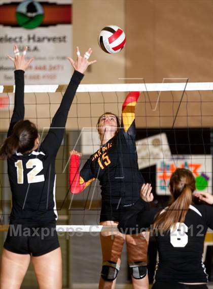 Thumbnail 2 in Oakdale @ Enochs photogallery.