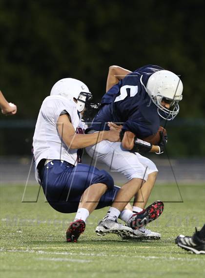 Thumbnail 3 in Boyd B vs Williams photogallery.