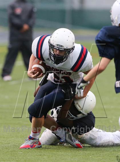 Thumbnail 1 in Boyd B vs Williams photogallery.