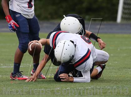 Thumbnail 1 in Boyd B vs Williams photogallery.