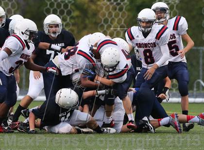 Thumbnail 1 in Boyd B vs Williams photogallery.
