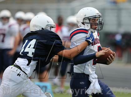 Thumbnail 1 in Boyd B vs Williams photogallery.