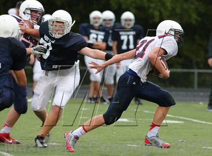Thumbnail 1 in Boyd B vs Williams photogallery.