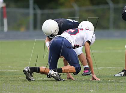 Thumbnail 1 in Boyd B vs Williams photogallery.