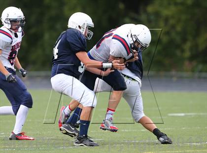Thumbnail 3 in Boyd B vs Williams photogallery.