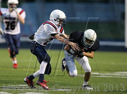 Thumbnail 1 in Boyd B vs Williams photogallery.