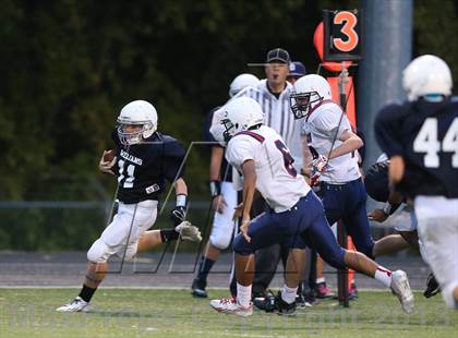 Thumbnail 3 in Boyd B vs Williams photogallery.