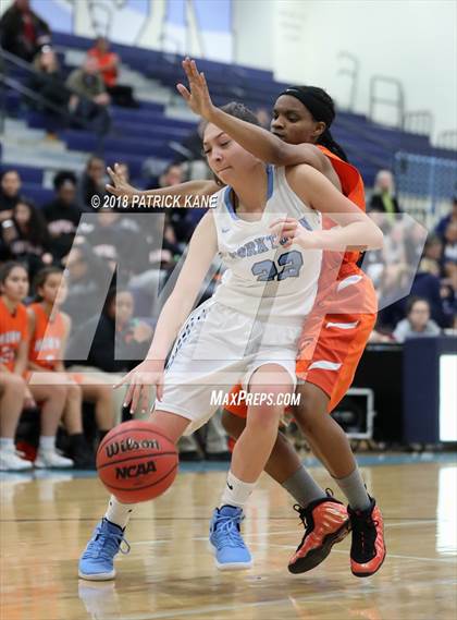 Thumbnail 1 in Hayfield @ Yorktown photogallery.