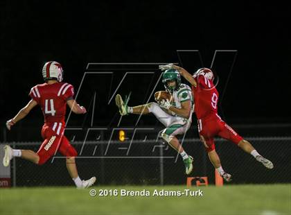 Thumbnail 3 in Yorktown @ New Palestine photogallery.