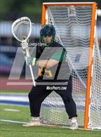 Photo from the gallery "Forest @ Calvary Christian"