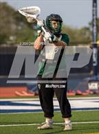 Photo from the gallery "Forest @ Calvary Christian"