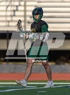 Photo from the gallery "Forest @ Calvary Christian"