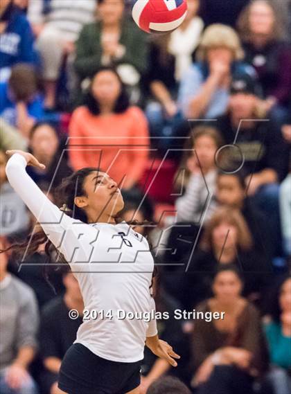 Thumbnail 2 in Archbishop Mitty vs. Los Altos (CIF-CCS Division 2 Championship) photogallery.