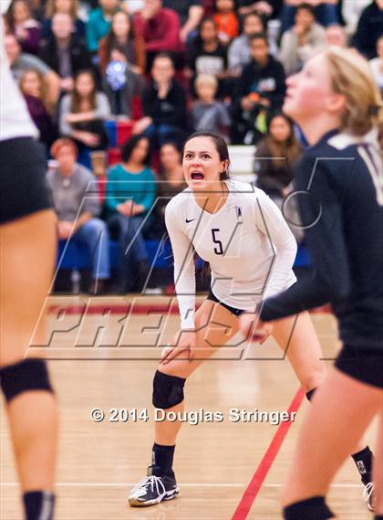 Thumbnail 1 in Archbishop Mitty vs. Los Altos (CIF-CCS Division 2 Championship) photogallery.