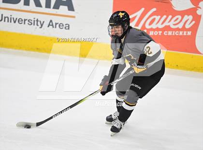 Thumbnail 1 in Amity Regional vs. Cheshire (CIAC DII Semifinal) photogallery.