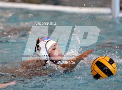 Thumbnail 3 in Lamar vs Alvin (Purple Monkey Tournament) photogallery.