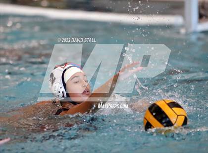 Thumbnail 2 in Lamar vs Alvin (Purple Monkey Tournament) photogallery.
