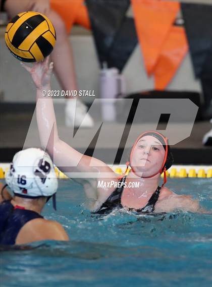 Thumbnail 2 in Lamar vs Alvin (Purple Monkey Tournament) photogallery.