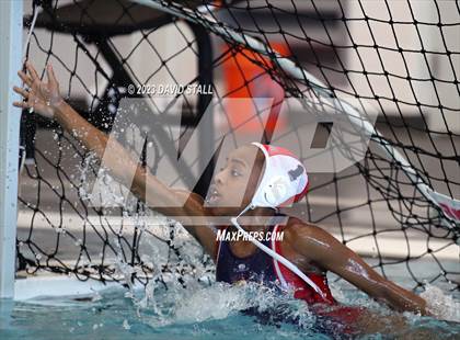 Thumbnail 1 in Lamar vs Alvin (Purple Monkey Tournament) photogallery.