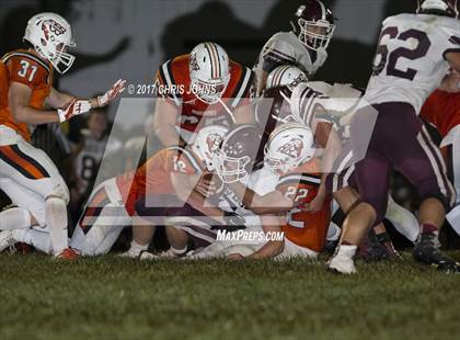 Thumbnail 3 in Red Bud @ Wesclin photogallery.