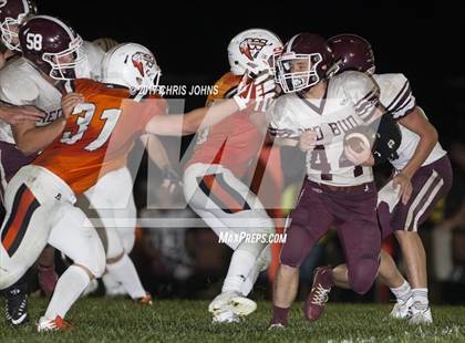 Thumbnail 2 in Red Bud @ Wesclin photogallery.
