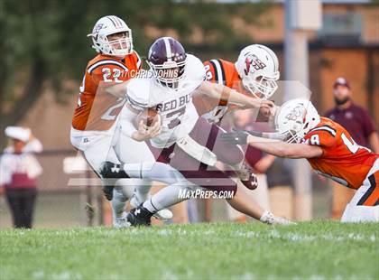 Thumbnail 3 in Red Bud @ Wesclin photogallery.