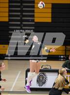 Photo from the gallery "Grandview @ Arapahoe"