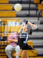 Photo from the gallery "Panther Creek @ Green Hope"