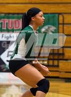 Photo from the gallery "Panther Creek @ Green Hope"