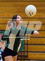 Photo from the gallery "Panther Creek @ Green Hope"